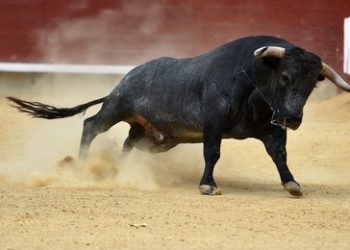 Solana Projected To Reach $500 This Year Despite Market Meltdown, Expert Predicts