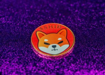 Crypto Analyst Predicts 244% Shiba Inu Rally Based On Bull Flag