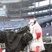 Netflix hunts for a production partner for its Christmas NFL games
