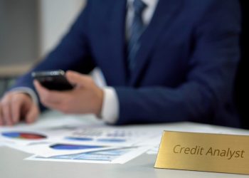 Credit Risk Analyst: Key Responsibilities and Skills