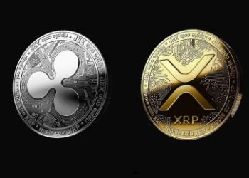 XRP Dominance: Pundit Says Missing This Altcoin Could Be A Big Mistake