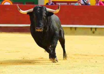 XRP 6-Year Trendline Draws To A Close, Analyst Predicts 1,400% Rally To $7.5