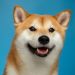 Dogecoin Whales Buy $112 Million Worth Of DOGE As Crypto Investors Turn Their Attention To Meme Coins