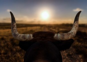 Buy Crypto Now: Lekker Capital CIO Spotlights Prime Opportunity