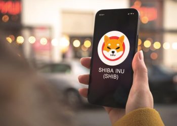 Shiba Inu (SHIB) Faces Critical Support Test at $0.000024