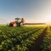 Sizzling Summer Commodities: What’s Hot in 2024?