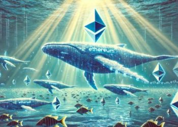 Ethereum Whales Rapidly Accumulate ETH Amid Price Decline