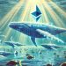 Ethereum Whales Rapidly Accumulate ETH Amid Price Decline