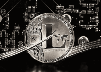 SafeMoon and Litecoin: Litecoin has support issues