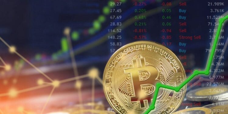 Next Big Cryptocurrency: 2024 Top Picks