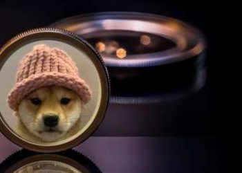 Dogwifhat Targets New Peaks As WIF Exceeds $2.1 Resistance Level