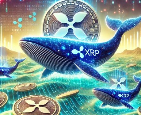 XRP Whales Are On The Move Again – Here’s What They’re Doing This Time