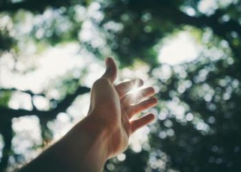 Solana Frenzy: Big Buyers Fueling Rally On Top Crypto Exchanges