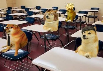 Floki Inu To Build Schools In India, FLOKI Price Seen Hitting $17