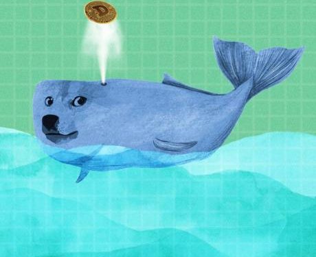 Dogecoin Sees 868% Spike In Whale Buys, Bulls Ready For Breakout Rally