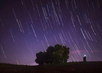 Filecoin Boom Incoming? Market Optimism Fuels Crypto’s Next Breakout Star