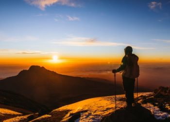 Market Expert Predicts When Bitcoin Price Will Reach Its Cycle Highs