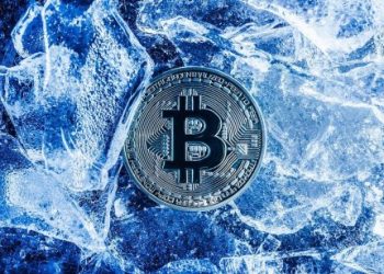 $2.4 Billion Worth Of Bitcoin Exit The Network As Bear Market Bites