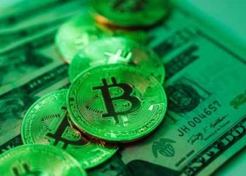 Can Bitcoin Cash (BCH) Go Up 680% This Week? This Analyst Believes So