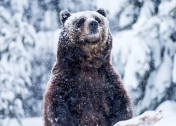 Is This Bad For Solana? $180 Million Transfer Raises Eyebrows