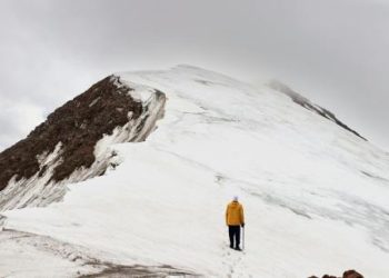 XRP Stages A Comeback: Aims To Reclaim $0.50 After Recent Plunge