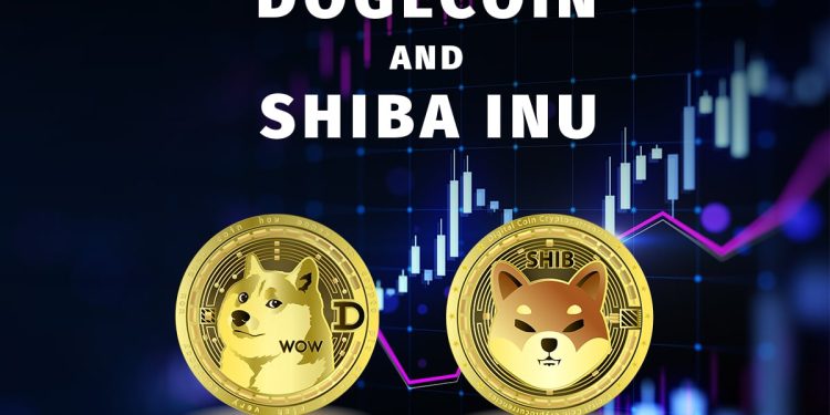 Dogecoin and the Shiba Inu: Dogecoin is recovering 