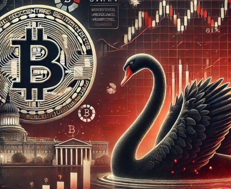 Is Bitcoin Really Safe? New Insights from ‘Black Swan’ Author on Recent Crash