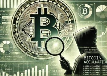 Hidden Bitcoin Agenda? CryptoQuant CEO Weighs In On Ongoing Rise In BTC Accumulation