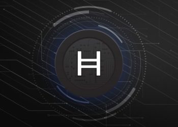 Hedera Developer Community Remained Vibrant In Q2 2024: When Will HBAR Turn The Corner?