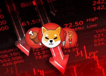 Why Is The Shiba Inu Price Crashing Today?