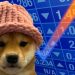 Dogwifhat On The Edge: Can WIF Hold Above $1.47 As Bears Close In?