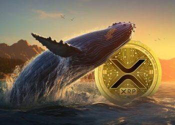 XRP Whales Take Advantage Of 20% Drop To Buy Millions Worth Of Tokens
