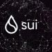 SUI Soars 50%, Analyst Eyes 190% Price Rally – Details