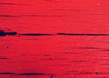 Filecoin (FIL) Portfolios Stay Red With 18% Weekly Losses