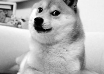 Is Dogecoin (DOGE) Headed For A 40% Slide? This Analyst Thinks So