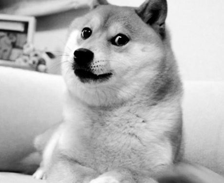 Is Dogecoin (DOGE) Headed For A 40% Slide? This Analyst Thinks So
