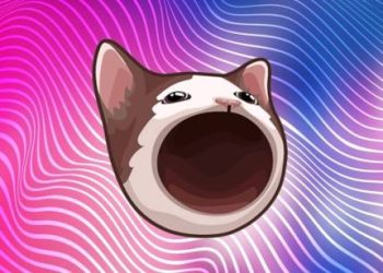 New Memecoin Popcat Claws Its Way Up, Dominates Top 100 Cryptos With 62% Rally