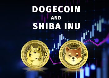 Dogecoin and Shiba Inu: Dogecoin pulled back to a new low