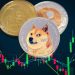 Dogecoin and Shiba Inu: Dogecoin in a slight uptrend