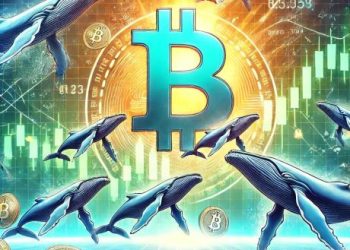 Bitcoin Whales Take Profit After Latest Price Jump — Here’s How Much They Sold