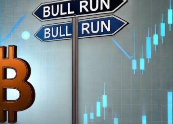 Here Is Why The Bitcoin Bull Run Hasn’t Started, According To Analyst
