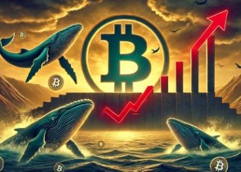 Bitcoin Price Rally Faces Key Resistance: Will Whale Shorts Trigger A Market Pullback?