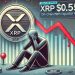 XRP Retreats To $0.55, On-Chain Metrics Expose Investor Pain
