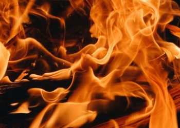 Blazing Solana: Analyst Foresees Nearly 700% Price Explosion