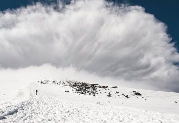 Avalanche Revenue Nosedives Over 40% In Q2 –  Impact On AVAX Price