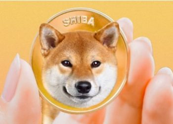 Why A Leading Investor Is Still Very Bullish On Shiba Inu, Even Amid Declines