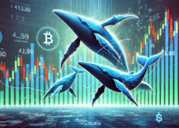 These Altcoins Are Seeing High Whale Interest After Fed Rate Cut