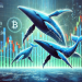 These Altcoins Are Seeing High Whale Interest After Fed Rate Cut