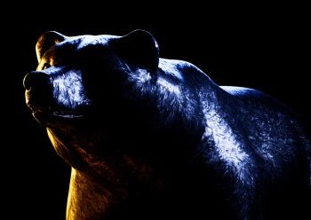 Is DogWifHat (WIF) The “Most Bearish” Of All Major Meme Coins?