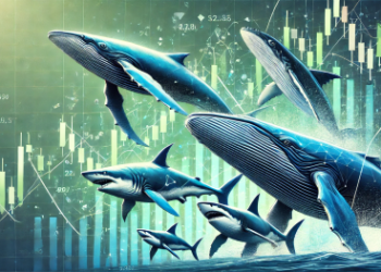 Render (RENDER) Shows 23% Surge As Sharks & Whales Continue To Buy